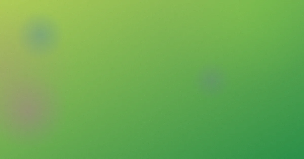 郑妮可怎么用：入坑实测